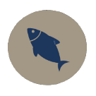 Noctilio leporinus