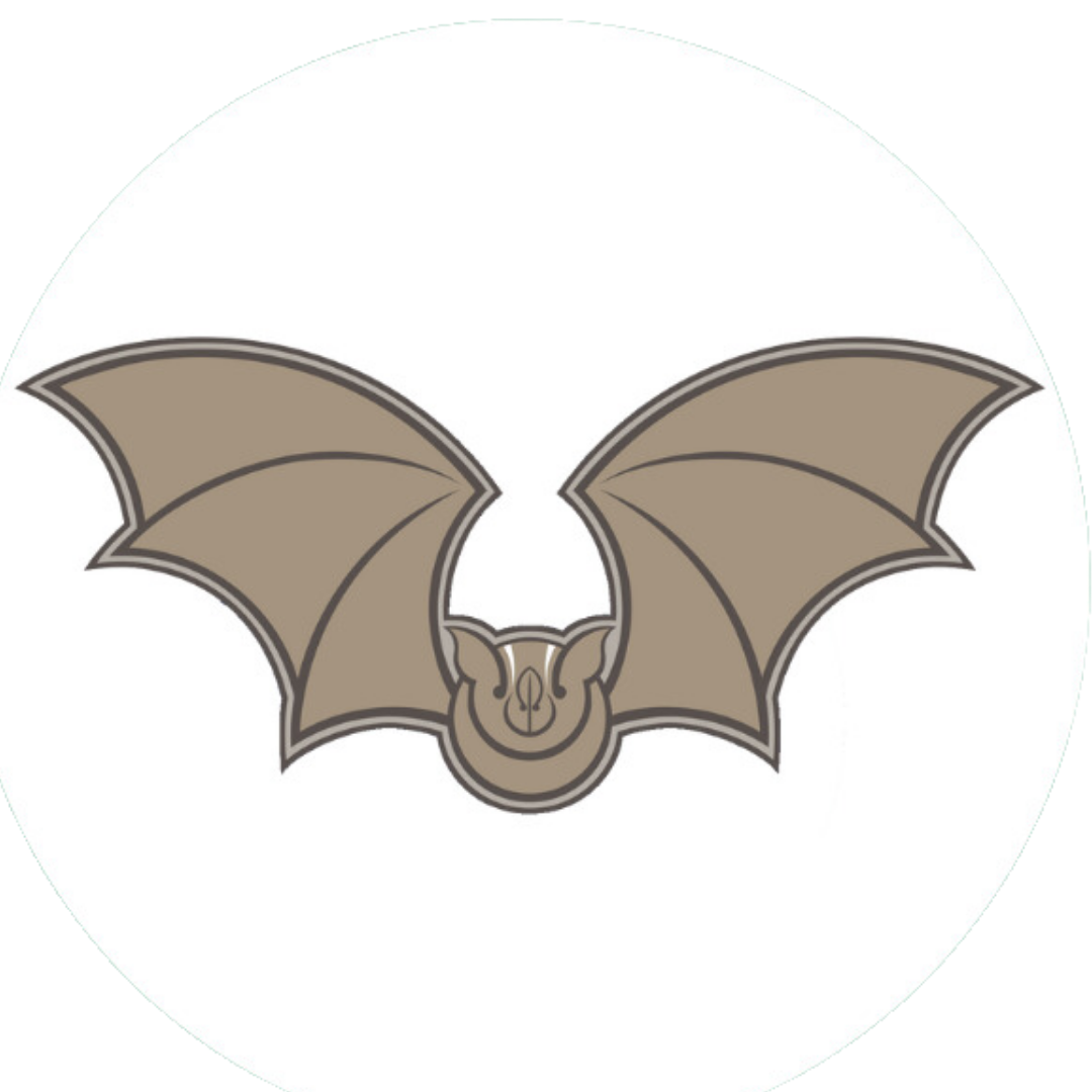 Promops centralis